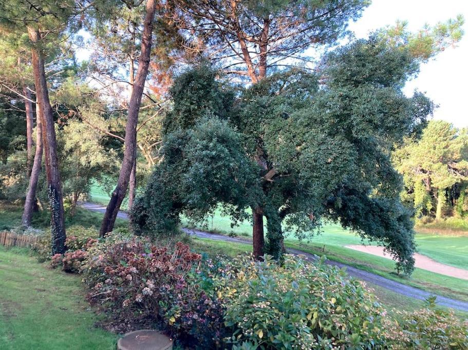 Vue Golf Dans Residence Nature "Sympalappart" Moliets-et-Maa Exterior foto
